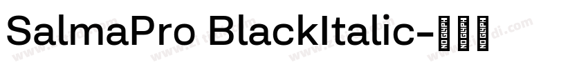 SalmaPro BlackItalic字体转换 SalmaPro BlackItalic字体转换